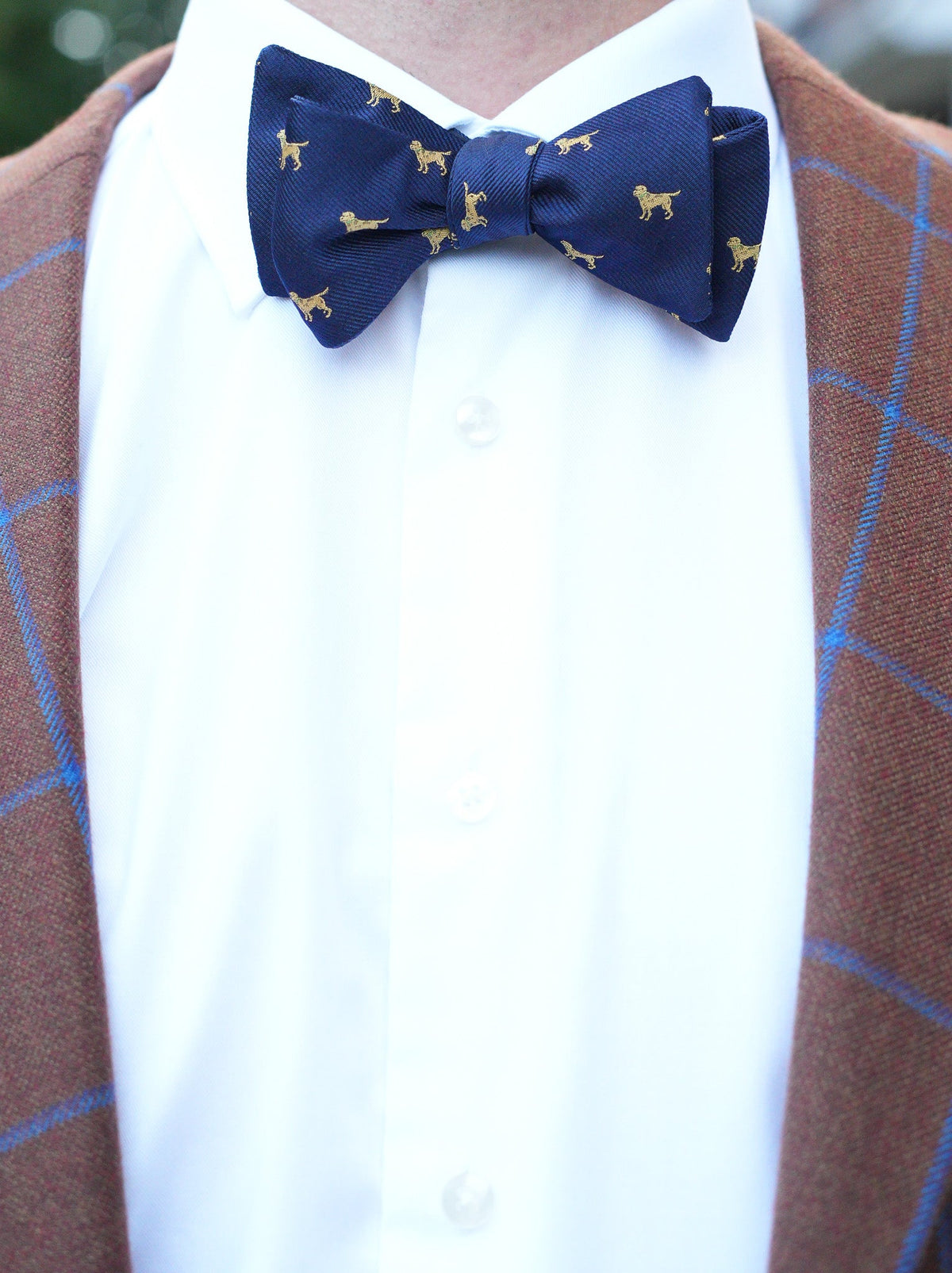 Yellow Labrador Dog Bow Tie - Navy High Cotton