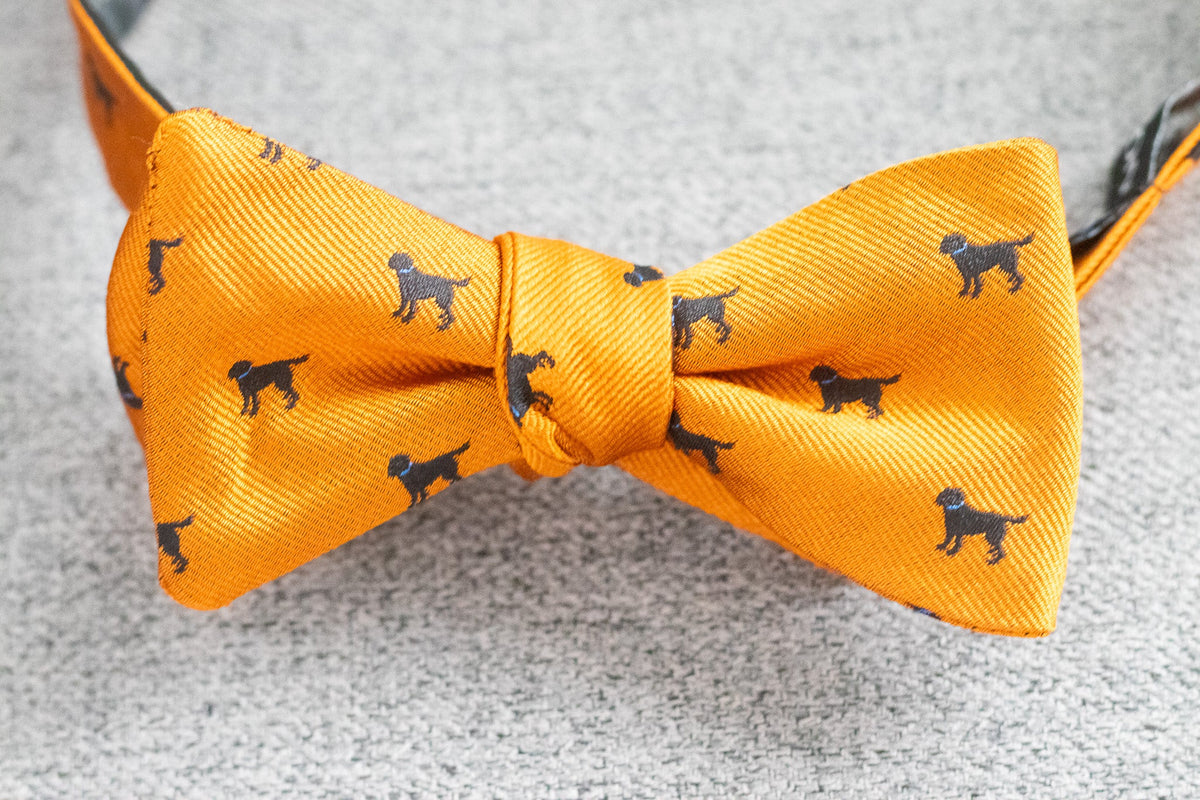 Black Labrador Dog Bow Tie - Orange High Cotton