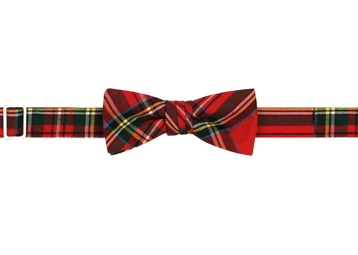 Cocoa and Mistletoe Boy's Bow Tie High Cotton Ties