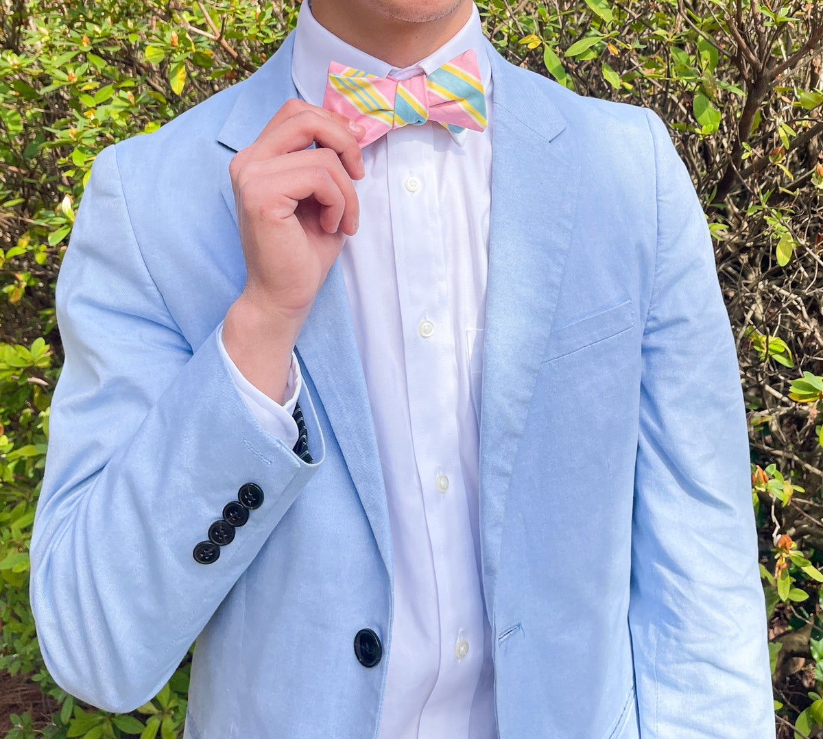 Palm Beach Stripe Bow Tie - Flamingo High Cotton Ties