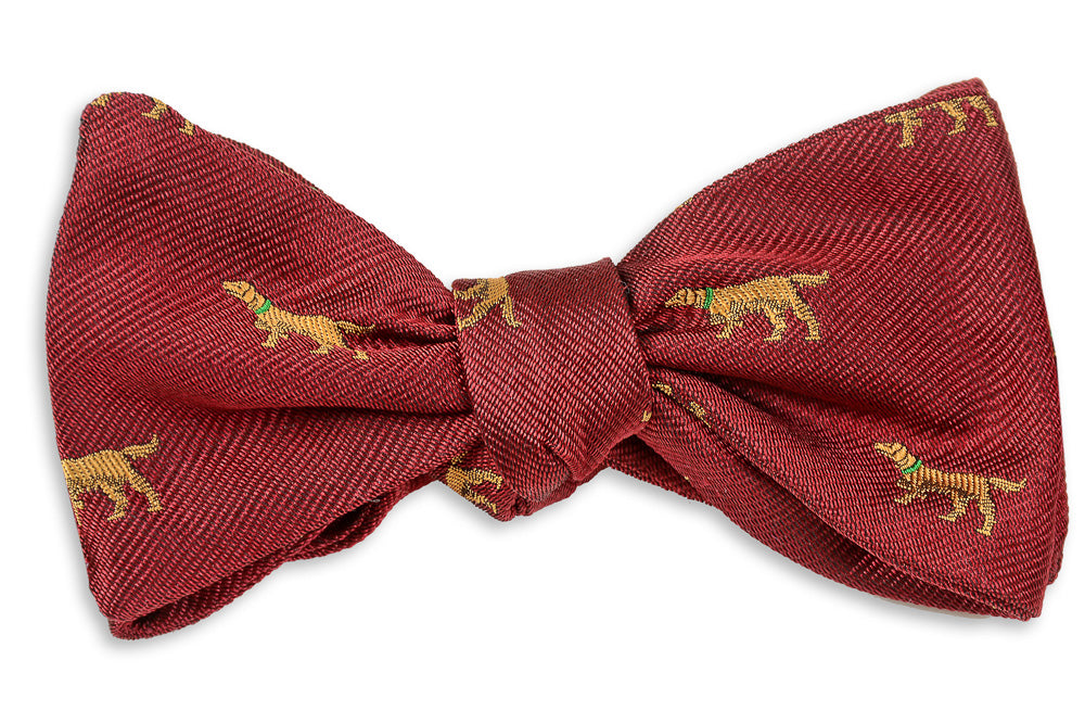 Good Boy Bow Tie - Burgundy High Cotton