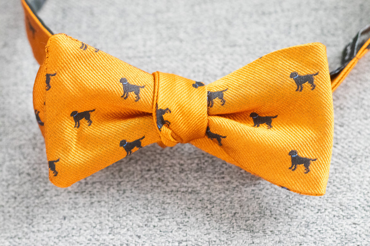 Black Labrador Dog Bow Tie - Orange