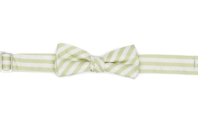 Oyster Roast Bow&#39;s Boy Tie - Marsh