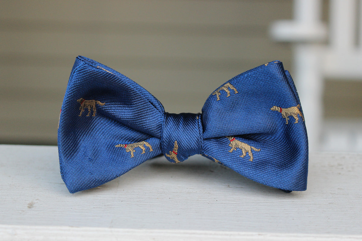 Good Boy Bow Tie - Royal