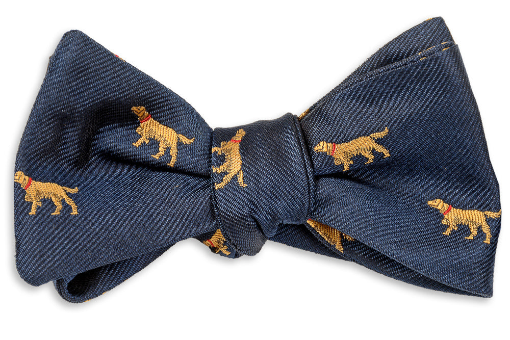 Good Boy Bow Tie - Navy High Cotton